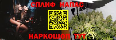 ECSTASY Заволжье