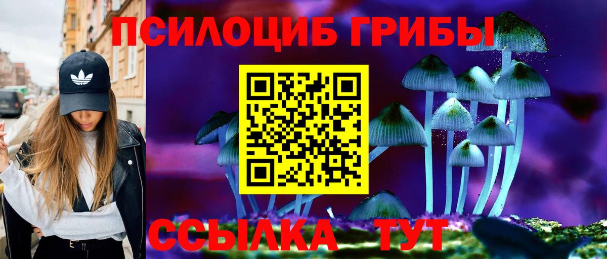 Псилоцибиновые грибы Psilocybine cubensis Звенигород