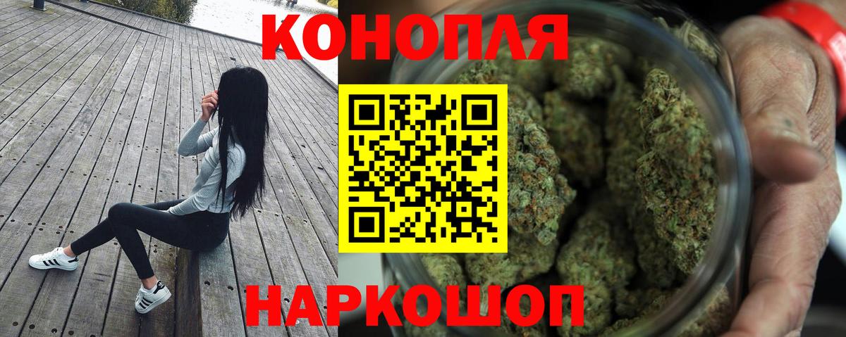 Шишки марихуана сатива  МАРИХУАНА план  Звенигород  Вход с VPN  Канабис гибрид  Шишки марихуана сатива 